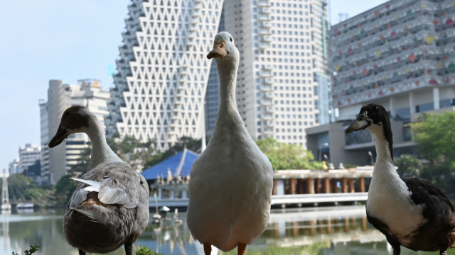 Ένας άλλος πλανήτης είναι εφικτός, αποδεδειγμένα!