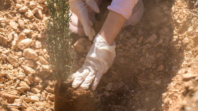 Οικουμενική η αντίληψη του «Β-οίκου της ζωής μας»