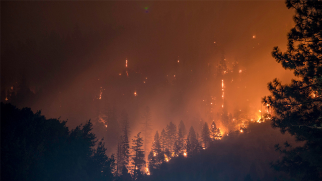 Τι σχέση έχουν οι δασικές πυρκαγιές με την ηλιακή ακτινοβολία