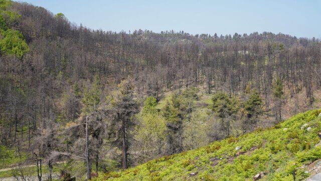 Ορμητική ροή δράσεων με γνώμονα τη φροντίδα για το περιβάλλον