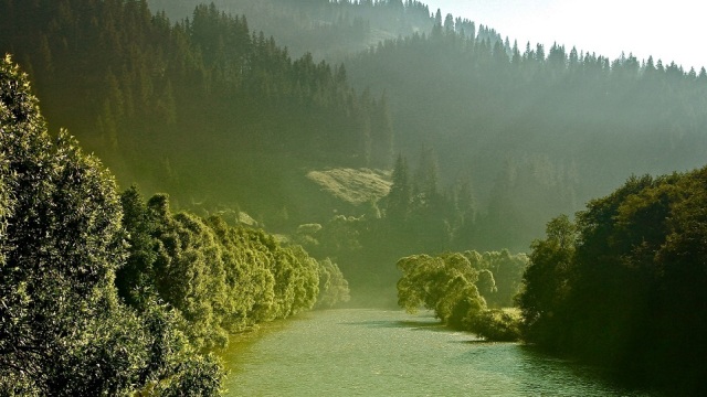 Ταξίδι στα Καρπάθια: Μια συναρπαστική εμπειρία στα ίχνη του βίσωνα