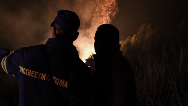 Φωτιά σε δασική έκταση κοντά στο καταφύγιο της Πρώτης Σερρών 
