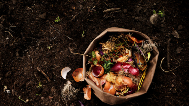 Βιώσιμο πλαίσιο για όλους  