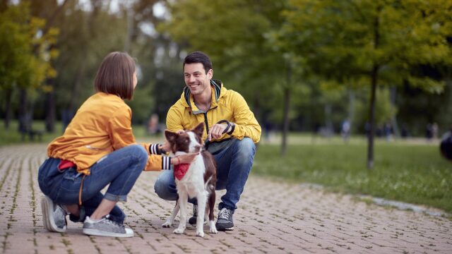 5 λόγοι που φαίνεστε πιο ελκυστικοί αν έχετε σκύλο