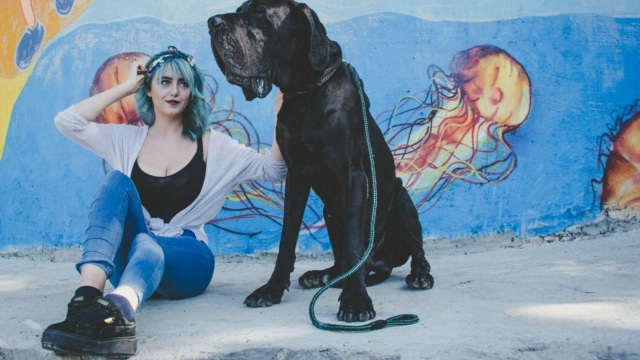 Θέλετε να υιοθετήσετε έναν μεγαλόσωμο σκύλο; Πράγματα που πρέπει να γνωρίζετε