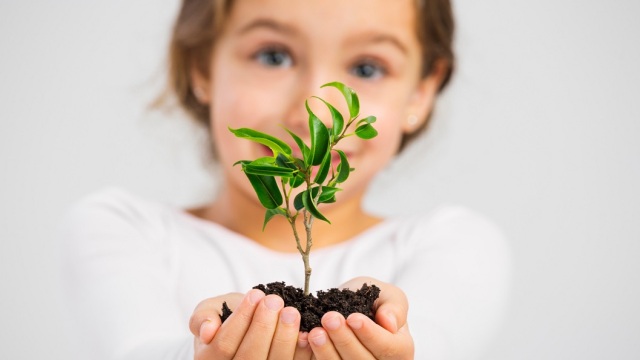 Το πράσινο σχέδιο που οδηγεί τη χώρα στο μέλλον