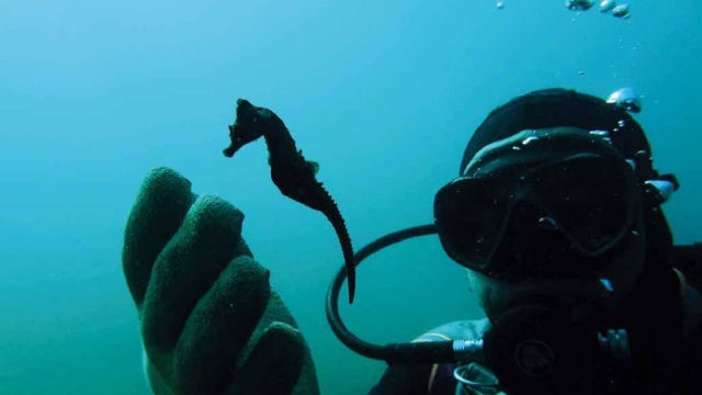 Ελληνικός Χρυσός: Υπεύθυνη μεταλλευτική δραστηριότητα με έμφαση στη μέριμνα για το περιβάλλον