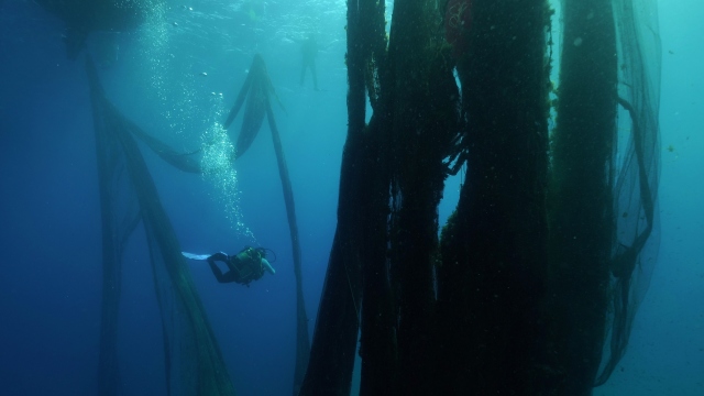 Μια καινοτόμα πρωτοβουλία που συμβάλλει στην αντιμετώπιση της ρύπανσης στα λιμάνια