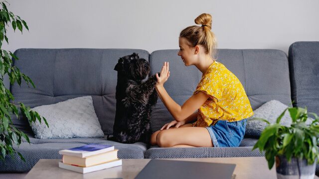 Πώς πρέπει να μιλάτε στον σκύλο σας ώστε να σας καταλαβαίνει