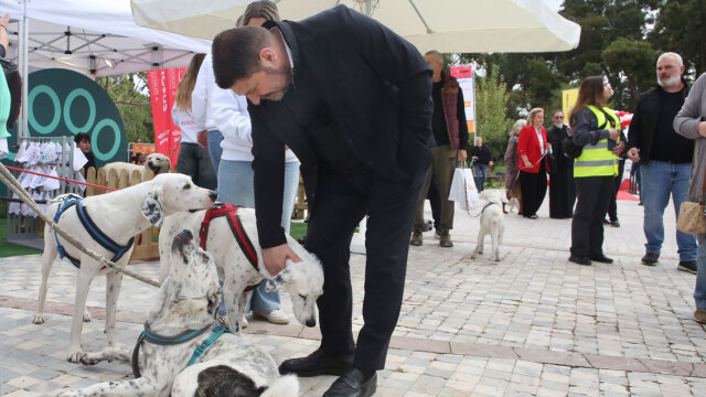 Ο Νίκος Χαρδαλιάς στη μεγάλη γιορτή για τα κατοικίδια, Woof Festival | topetmou.gr - Δείτε φωτογραφίες