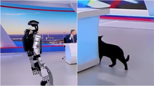 «Αναστάτωση» στο πλατό του ΣΚΑΪ με το ρομπότ Σοφία, τρόμαξε ο γάτος της εκπομπής, πήγε να κρυφτεί και εν τέλει έφυγε
