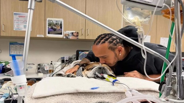 Χάμιλτον: Δεν ξέρουμε αν θα ξυπνήσει...