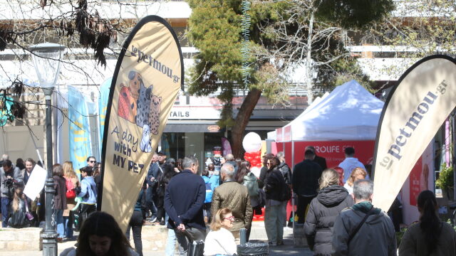 Όλα όσα έγιναν στην εκδήλωση “Α Day with my Pet” του topetmou.gr στο Μαρούσι, σε ένα video