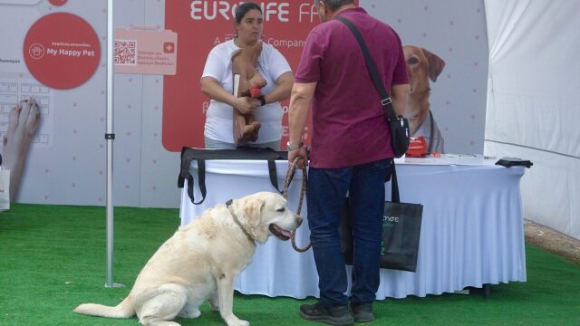 Μαθήματα ΚΑΡΠΑ και Πρώτων Βοηθειών στο “A Day with my Pet” στο Πάρκο Φλοίσβου
