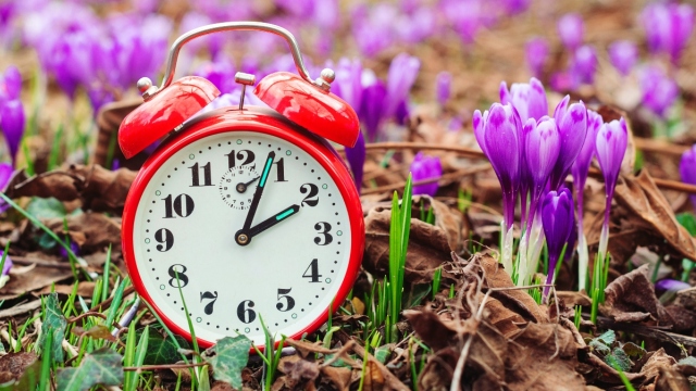 Eαρινή ισημερία 2026: Τι ώρα μπαίνει επίσημα η άνοιξη