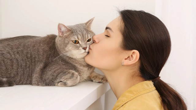 Τι νιώθει η γάτα σας όταν της δίνετε φιλιά