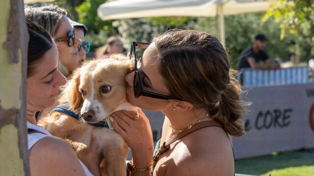 Αυτό το Σαββατοκύριακο όλοι στο Woof Festival | Topetmou.gr – Τη μεγάλη γιορτή των σκύλων