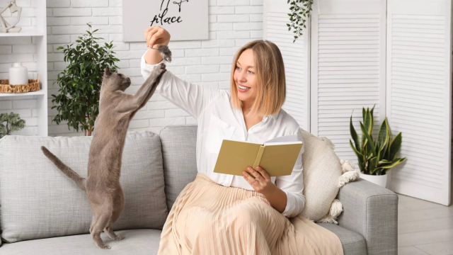 Οι τρόποι με τους οποίους σας αναγνωρίζει η γάτα σας