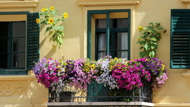 Πώς να δημιουργήσουμε τον τέλειο κήπο στο μπαλκόνι