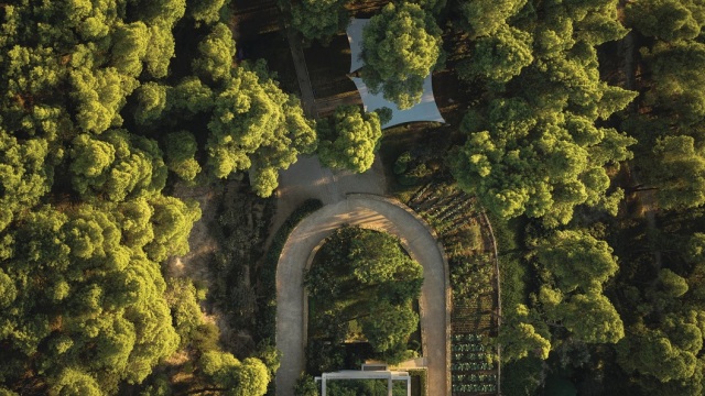 Η φύση οδηγός της φιλοξενίας: Το παράδειγμα του Ομίλου Sani/Ikos για έναν βιώσιμο τουρισμό