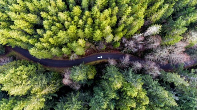 Πράσινες διαδρομές με ορίζοντα το αύριο