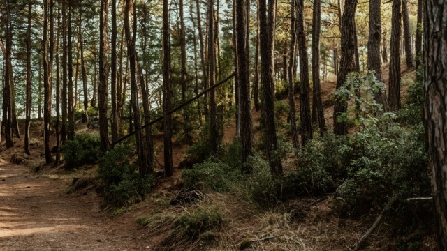 JTI: Στρατηγική επένδυση στη βιωσιμότητα και την ανθεκτικότητα