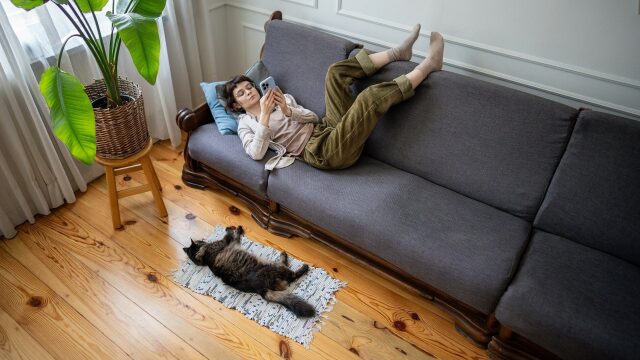 Μικρό ή μεγάλο σπίτι; Πόσα τετραγωνικά χρειάζεται μια γάτα για να ζήσει καλά