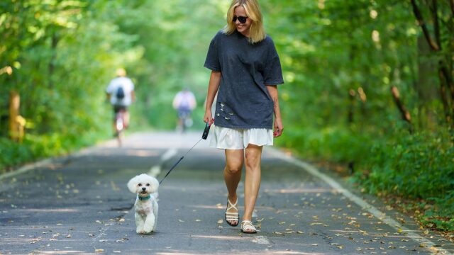 Αυτό είναι το πιο σημαντικό πράγμα που πρέπει να κάνετε στη βόλτα με τον σκύλο σας
