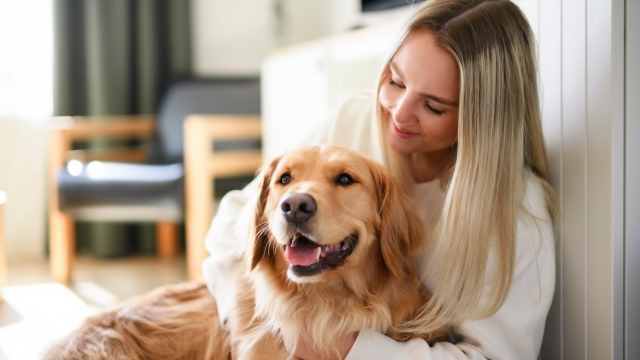 Έρχονται 3 φάρμακα που θα χαρίσουν περισσότερα χρόνια ζωής στους σκύλους μας
