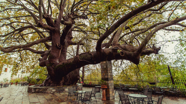 Κεντρικό Πήλιο: Χωριά που μαγεύουν τους επισκέπτες όλο τον χρόνο
