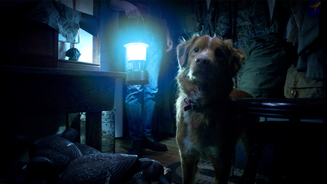 Ο οδηγός ταινιών του Δημήτρη Δανίκα