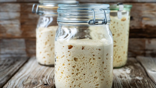 Lievito Madre - Ή αλλιώς «η μάνα των προζυμιών », η καρδιά της ιταλικής κουζίνας