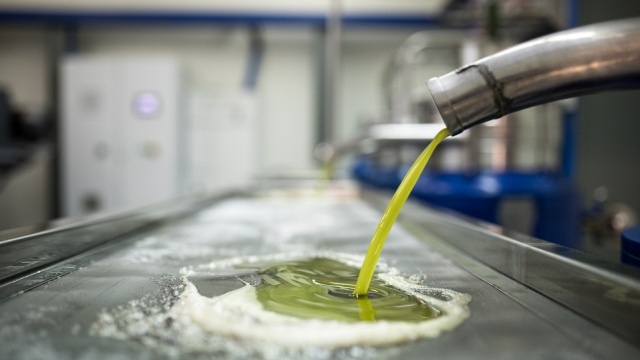 Από το λιοτρίβι στο σπίτι: Πώς φυλάμε το φρέσκο ελαιόλαδο για να μείνει αρωματικό και γευστικό όλο τον χρόνο