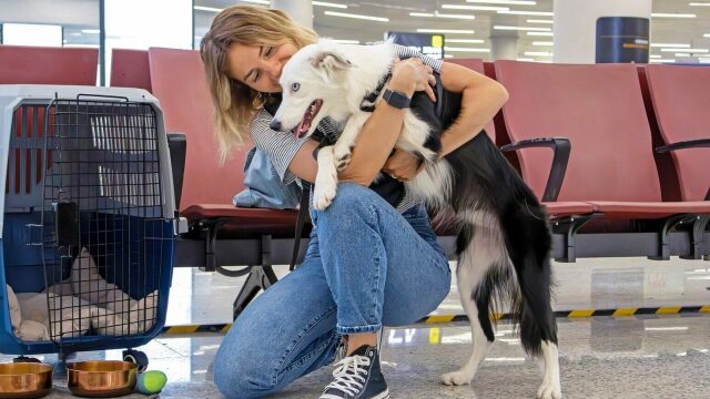 Όσα πρέπει να γνωρίζετε αν θελήσετε να ταξιδέψετε στο εξωτερικό με το κατοικίδιό σας- Τι αναφέρει η νομοθεσία