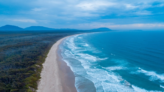 Τρεις επιθέσεις καρχαριών στο Σίδνεϊ, «lockdown» στις παραλίες