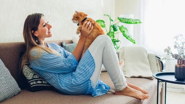 Τι πραγματικά ακούνε οι γάτες όταν τους μιλάμε