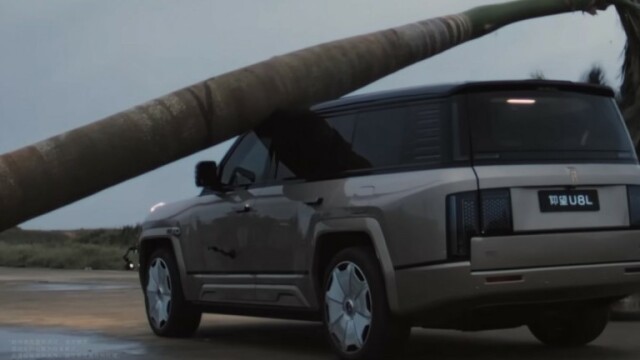 Τα BYD είναι ανθεκτικά στα… δέντρα!