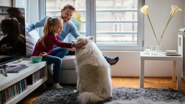 Νικήστε τη μελαγχολία του χειμώνα όπως οι Σκανδιναβοί – Δείτε πώς το πετυχαίνουν

