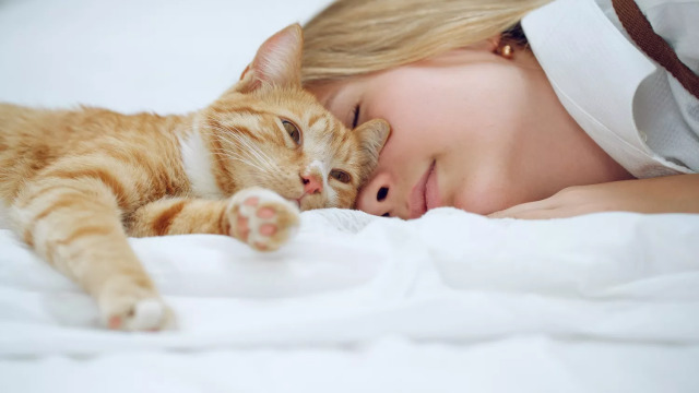 Γιατί αρέσει στις γάτες να κοιμούνται κοντά στο πρόσωπό μας;
