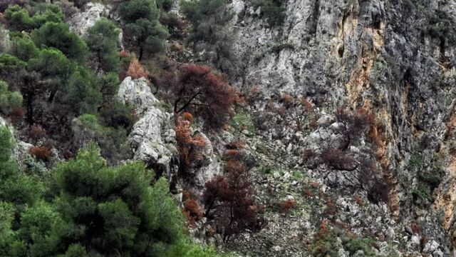 Ανθρώπινος σκελετός που ανήκει σε μία από τις δύο εξαφανισμένες Γαλλίδες τουρίστριες εντοπίστηκε στη Σίκινο