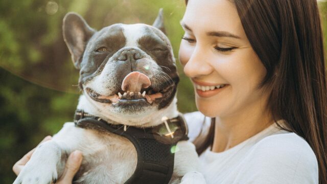 4 πράγματα που κάνει ο σκύλος όταν μας έχει αδυναμία