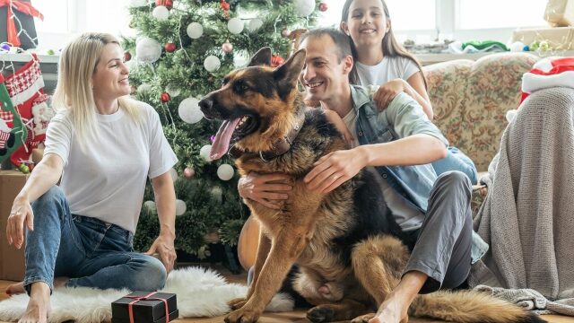 Τα πιο συνηθισμένα λάθη που κάνουμε στο χριστουγεννιάτικο πάρτι μας όταν έχουμε κατοικίδιο