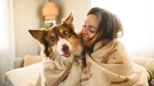 Σύντροφο ή σκύλο; Έρευνα δείχνει τι προτιμούν οι single κηδεμόνες