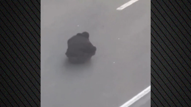 Ο καθιστός διαδηλωτής της Τεχεράνης: Εικόνες που θυμίζουν την Τιενανμέν στο Ιράν, δείτε βίντεο