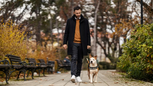 Ιδανικά μέρη στην Αθήνα για χειμερινούς περίπατους με τον σκύλο μας