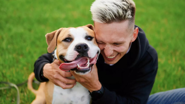 4 πράγματα που νομίζουμε ότι λατρεύει ο σκύλος, αλλά τον αγχώνουν