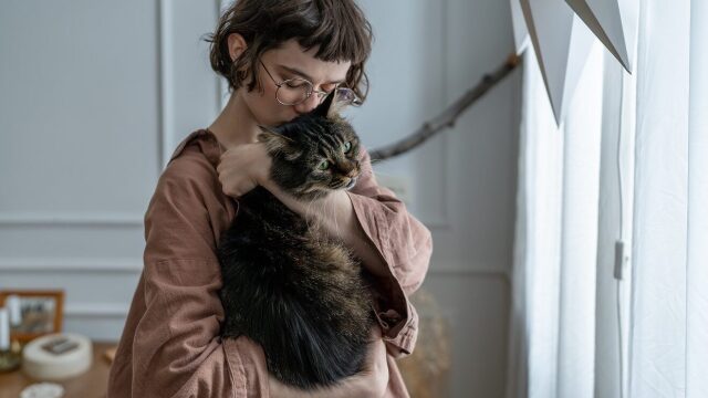 Μπορεί μια γάτα να παρηγορήσει τον άνθρωπό της;