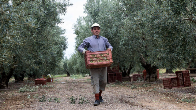 Άνοιγμα σε αγορά 300 εκατ. καταναλωτών για τα ελληνικά προϊόντα από τη συμφωνία ΕΕ-Mercosur: Οφέλη για λάδι, τυριά, ακτινίδια, ροδάκινα, αρτοσκευάσματα 