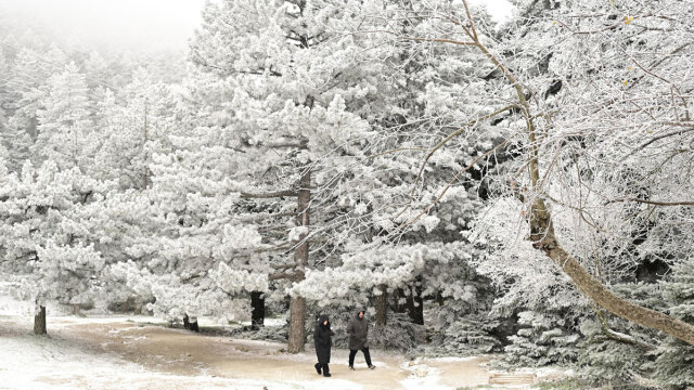 Έπεσαν τα πρώτα χιόνια στην Πάρνηθα, δείτε εντυπωσιακές φωτογραφίες