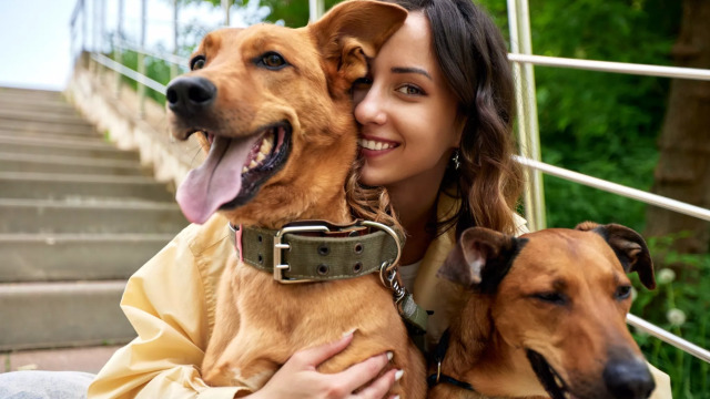 Πώς εκφράζουν την αγάπη τους οι διάφορες φυλές σκύλων